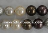 CSB1088 15.5 inches 12mm round mixed color shell pearl beads