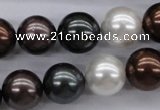 CSB1120 15.5 inches 14mm round mixed color shell pearl beads