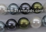 CSB1124 15.5 inches 14mm round mixed color shell pearl beads