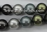 CSB1126 15.5 inches 14mm round mixed color shell pearl beads