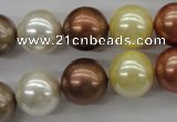 CSB1132 15.5 inches 14mm round mixed color shell pearl beads