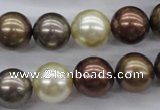 CSB1133 15.5 inches 14mm round mixed color shell pearl beads