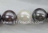 CSB1150 15.5 inches 16mm round mixed color shell pearl beads