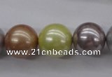 CSB1155 15.5 inches 16mm round mixed color shell pearl beads