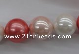 CSB1157 15.5 inches 16mm round mixed color shell pearl beads