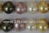 CSB156 15.5 inches 12*15mm – 13*16mm oval mixed color shell pearl beads