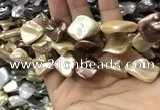 CSB2169 15.5 inches 16*16mm - 18*20mm baroque mixed shell pearl beads