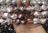 CSB2176 15.5 inches 16*16mm - 20*22mm baroque mixed shell pearl beads