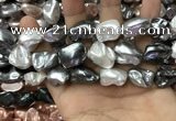 CSB2179 15.5 inches 16*16mm - 20*22mm baroque mixed shell pearl beads