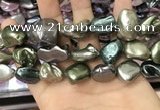 CSB2181 15.5 inches 16*16mm - 20*22mm baroque mixed shell pearl beads