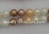 CSB308 15.5 inches 8mm round mixed color shell pearl beads