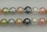 CSB310 15.5 inches 8mm round mixed color shell pearl beads