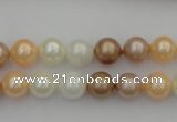 CSB311 15.5 inches 8mm round mixed color shell pearl beads