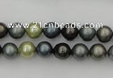 CSB316 15.5 inches 8mm round mixed color shell pearl beads