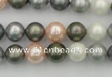 CSB338 15.5 inches 10mm round mixed color shell pearl beads