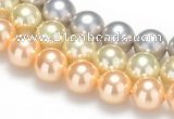 CSB34 16 inches 12mm round shell pearl beads Wholesale