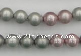 CSB341 15.5 inches 10mm round mixed color shell pearl beads