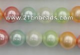 CSB353 15.5 inches 12mm round mixed color shell pearl beads