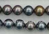 CSB366 15.5 inches 12mm round mixed color shell pearl beads