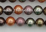 CSB368 15.5 inches 12mm round mixed color shell pearl beads