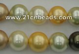 CSB374 15.5 inches 14mm round mixed color shell pearl beads