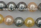 CSB377 15.5 inches 14mm round mixed color shell pearl beads