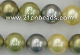 CSB380 15.5 inches 14mm round mixed color shell pearl beads