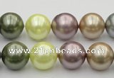 CSB381 15.5 inches 14mm round mixed color shell pearl beads