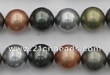 CSB382 15.5 inches 14mm round mixed color shell pearl beads