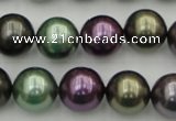 CSB386 15.5 inches 14mm round mixed color shell pearl beads