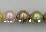 CSB393 15.5 inches 16mm round mixed color shell pearl beads