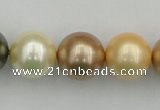 CSB394 15.5 inches 16mm round mixed color shell pearl beads