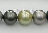 CSB398 15.5 inches 16mm round mixed color shell pearl beads