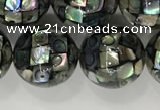 CSB4034 15.5 inches 14mm ball abalone shell beads wholesale