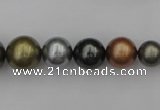 CSB410 15.5 inches 8mm - 16mm round mixed color shell pearl beads