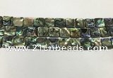 CSB4145 15.5 inches 12*12mm square abalone shell beads wholesale