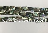 CSB4155 15.5 inches 13*18mm rectangle abalone shell beads wholesale