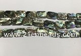 CSB4155 15.5 inches 13*18mm rectangle abalone shell beads wholesale