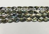 CSB4159 15.5 inches 8*12mm flat drum abalone shell beads wholesale