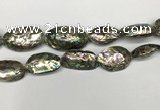 CSB4179 15.5 inches 13*30mm - 15*35mm freeform abalone shell beads