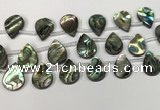 CSB4189 Top drilled 15*20mm flat teardrop balone shell beads