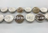 CSB4502 15.5 inches 28mm - 35mm freeform shell beads wholesale