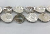 CSB4505 15.5 inches 28*38mm - 32*42mm teardrop shell beads wholesale