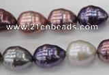 CSB553 15.5 inches 12*15mm whorl teardrop mixed color shell pearl beads