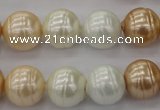 CSB624 15.5 inches 14mm whorl round mixed color shell pearl beads