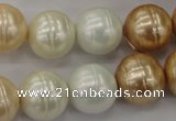 CSB636 15.5 inches 16mm whorl round mixed color shell pearl beads