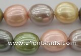 CSB679 15.5 inches 16*19mm oval mixed color shell pearl beads