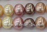 CSB699 15.5 inches 13*15mm oval mixed color shell pearl beads