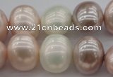 CSB713 15.5 inches 16*19mm oval mixed color shell pearl beads