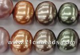 CSB716 15.5 inches 16*19mm oval mixed color shell pearl beads